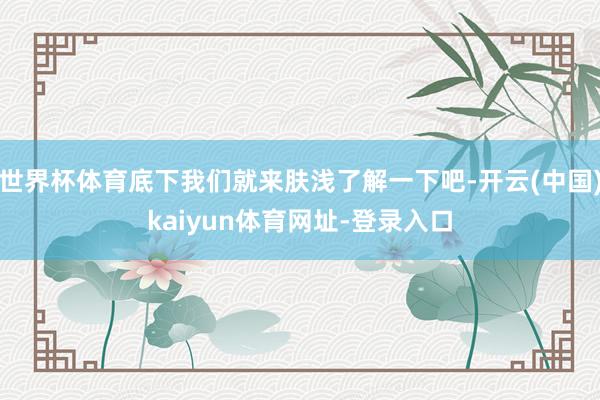 世界杯体育底下我们就来肤浅了解一下吧-开云(中国)kaiyun体育网址-登录入口