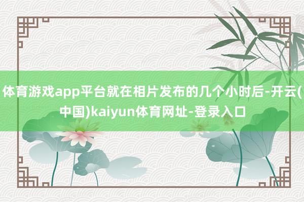 体育游戏app平台就在相片发布的几个小时后-开云(中国)kaiyun体育网址-登录入口