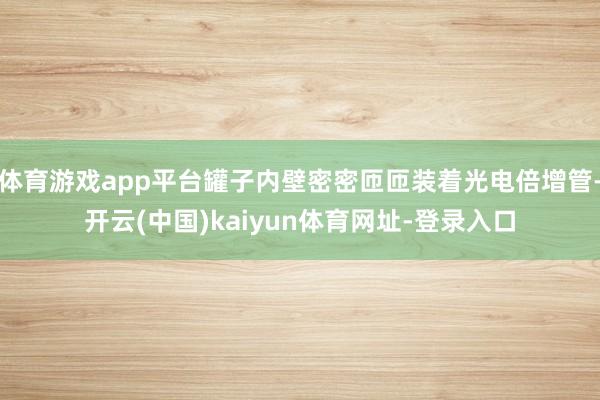 体育游戏app平台罐子内壁密密匝匝装着光电倍增管-开云(中国)kaiyun体育网址-登录入口