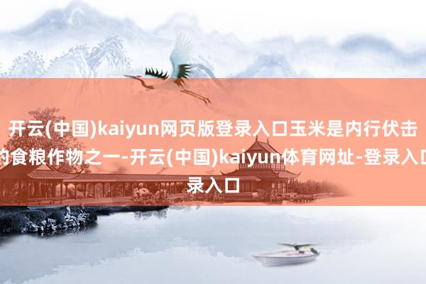 开云(中国)kaiyun网页版登录入口玉米是内行伏击的食粮作物之一-开云(中国)kaiyun体育网址-登录入口