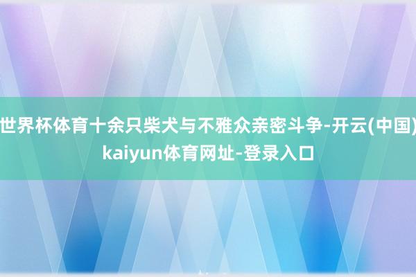 世界杯体育十余只柴犬与不雅众亲密斗争-开云(中国)kaiyun体育网址-登录入口