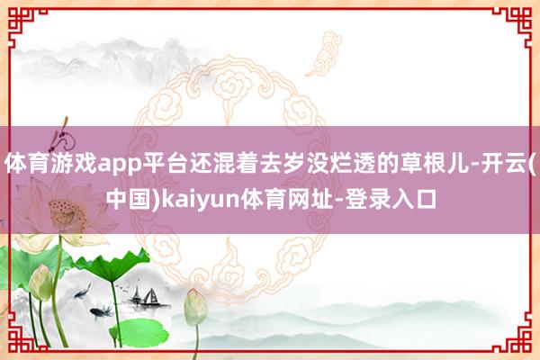 体育游戏app平台还混着去岁没烂透的草根儿-开云(中国)kaiyun体育网址-登录入口