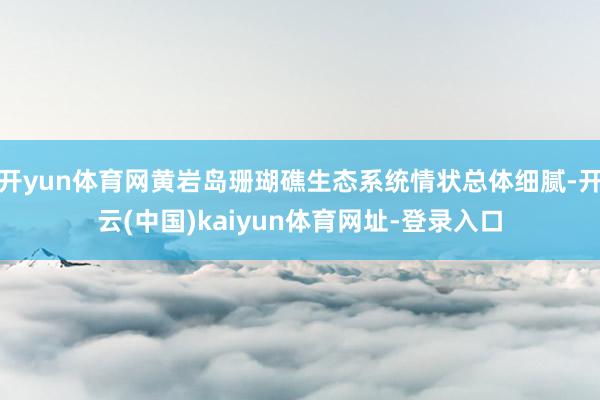 开yun体育网黄岩岛珊瑚礁生态系统情状总体细腻-开云(中国)kaiyun体育网址-登录入口